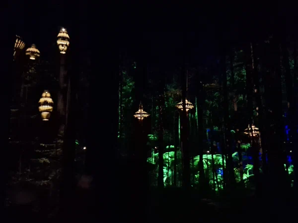 Travel Photo
