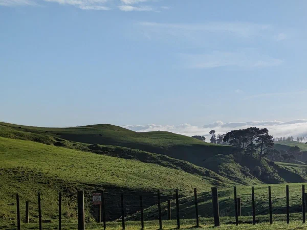 The view approaching Hobbiton